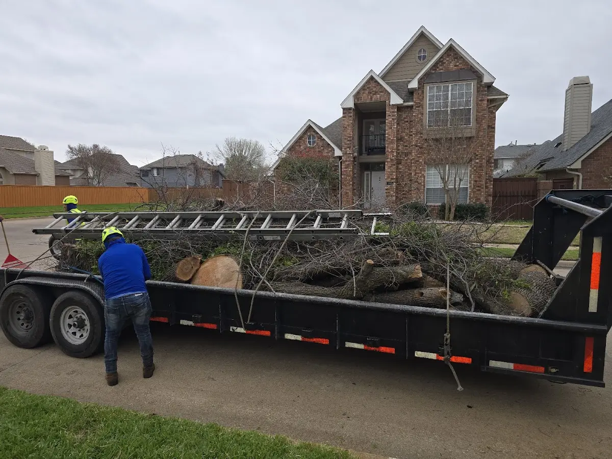 Expert Tree Removal with proper safety equipment in Etowah